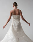 Celestial Veil Dress