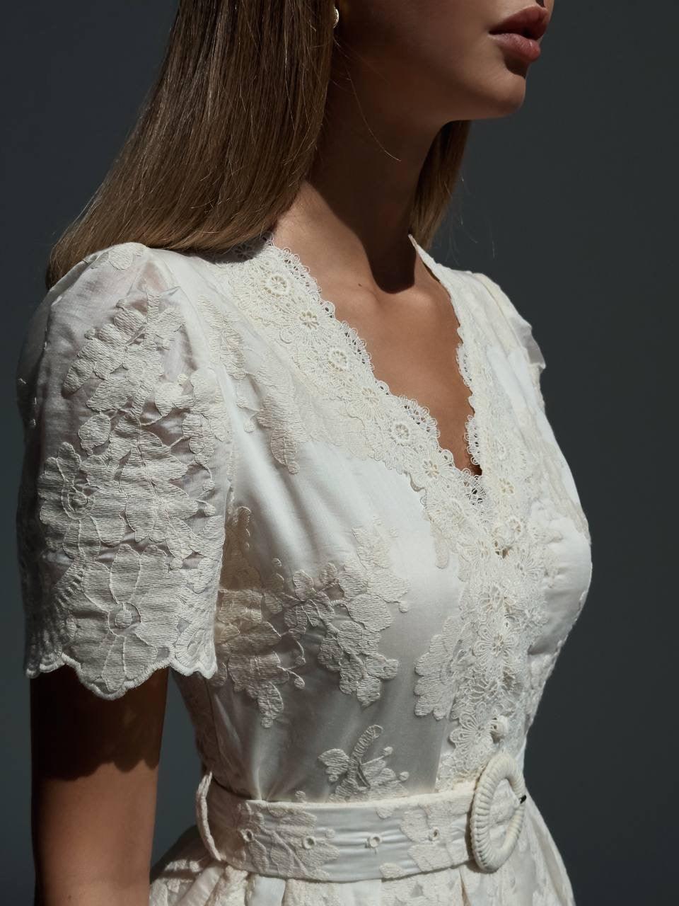 Elegant Lace Embroidered Short Sleeve Mini Dress.