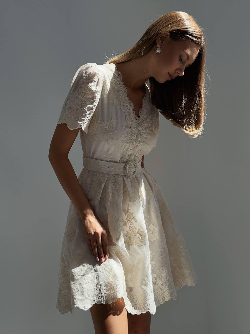 Elegant Lace Embroidered Short Sleeve Mini Dress.