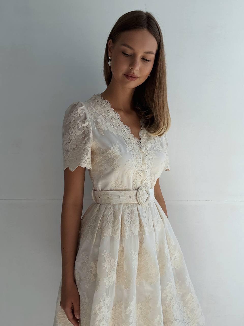 Elegant Lace Embroidered Short Sleeve Mini Dress.