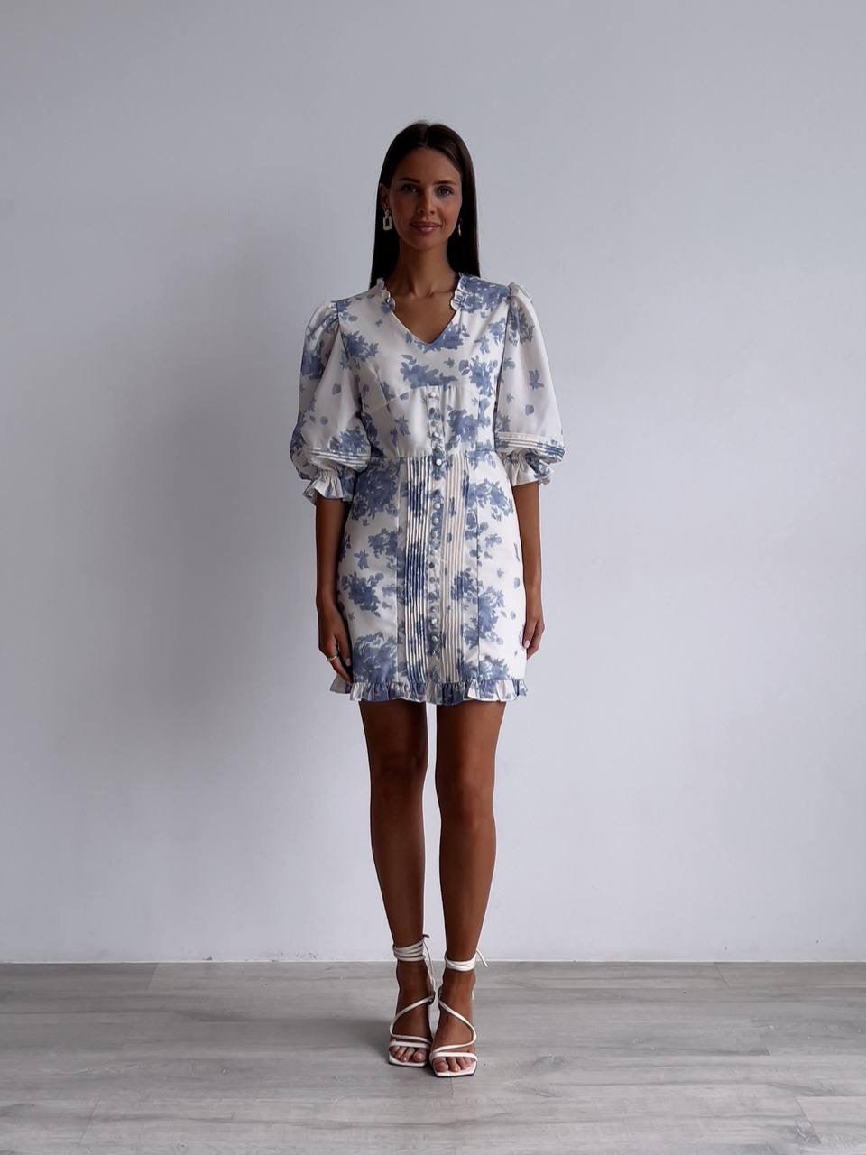 Floral Print Balloon Sleeve Mini Dress.