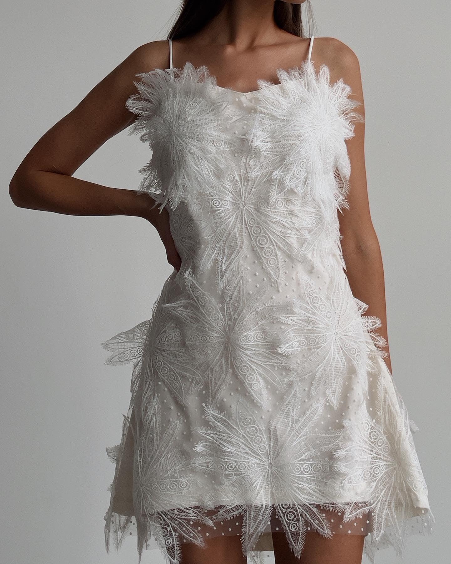 Feathered Elegance Mini Dress.